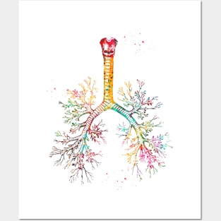 Bronchial tree Posters and Art